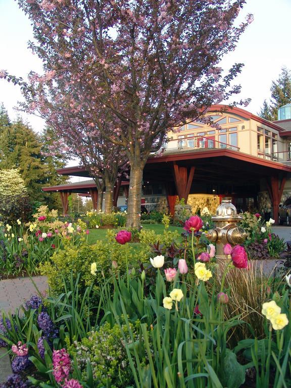 Crown Isle Resort & Golf Community Courtenay Exterior photo